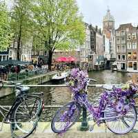 Amsterdam's Enduring Allure: A Backpacker's Delight