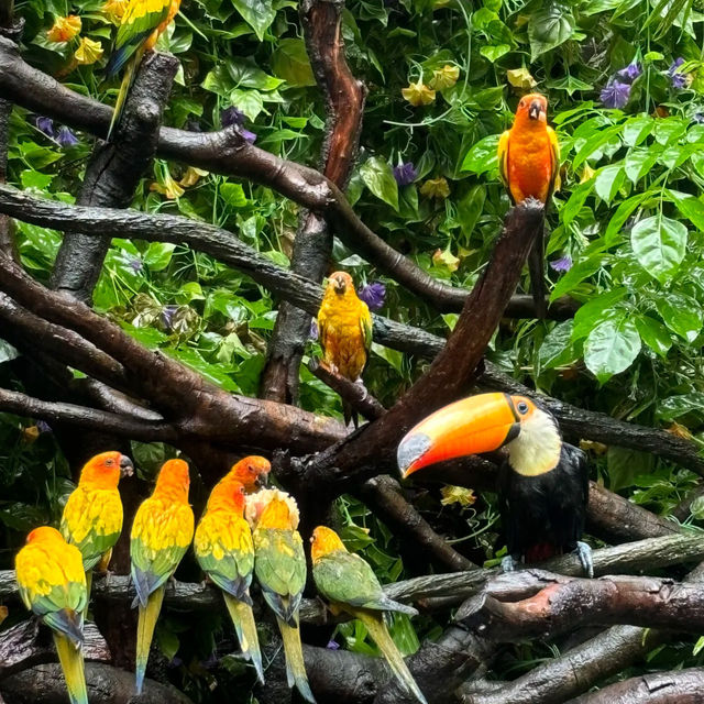 吉隆坡雀鳥公園：鳥類的天堂 🌈🐦