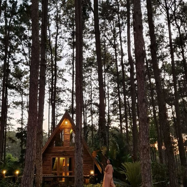 สวนป่าดอยบ่อหลวง 🌿