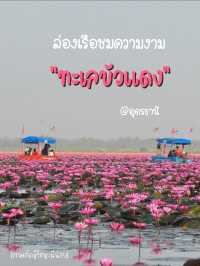 ล่องเรือชมความงามของทะเลบัวแดง