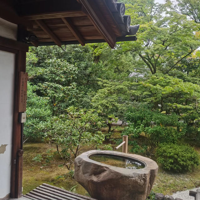 西園院：靜謐美麗庭園 🍃⛩️