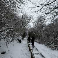 Beppu-Mount Tsurumi