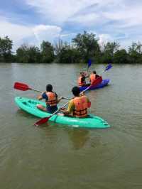 นั่งเรือปลูกป่าชายเลนที่คลองโคนกัน