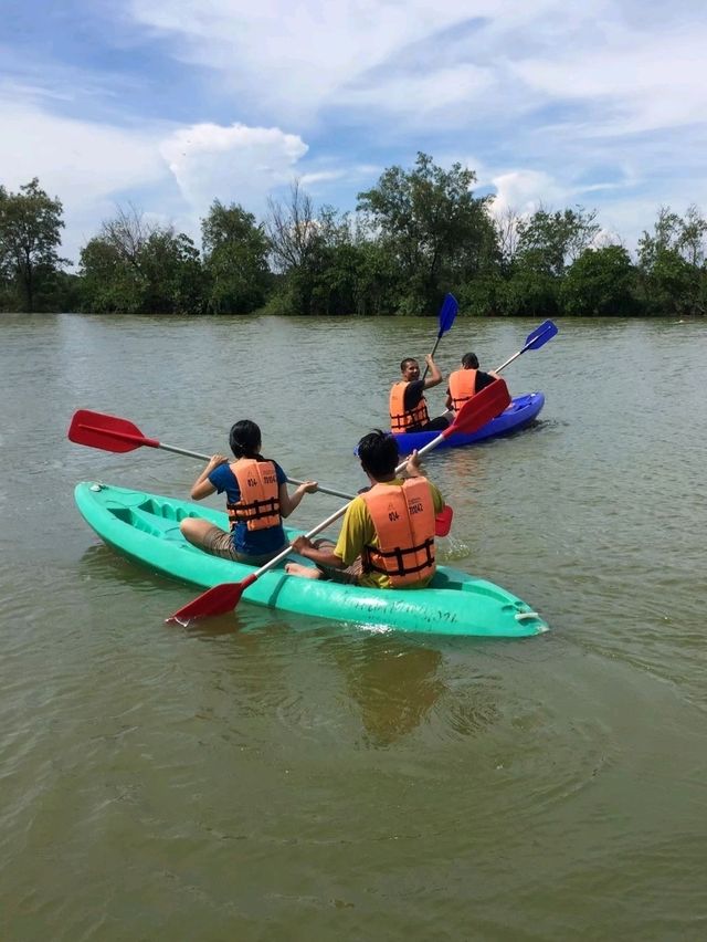 นั่งเรือปลูกป่าชายเลนที่คลองโคนกัน