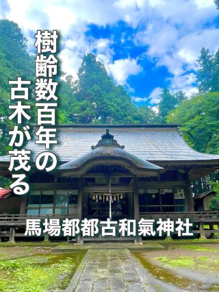 【福島縣】樹齡數百年的古木環繞的