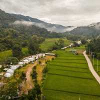 ที่พักน่าน สไตล์ญี่ปุ่นแบบชนบทวิวทุ่งนา สดชื่นมากๆ
