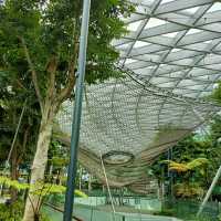 Canopy Park at Jewel Changi 