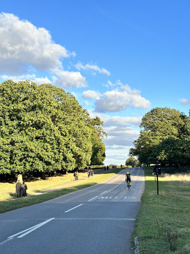 🇬🇧 倫敦最大的皇室公園