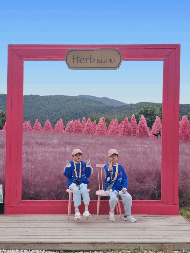 허브아일랜드, 핑크빛 낭만 속 핑크뮬리와 핑크샌드의 만남