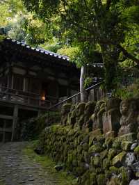 【京都観光】かわいい羅漢像がいっぱい！「愛宕念仏寺」⛩️🗿