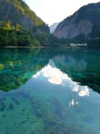 Jiuzhauguo Valley is a Perfect spot for Nature Lovers!
