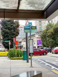 Efficient and Reliable: Exploring Singapore's Bus Network! 
