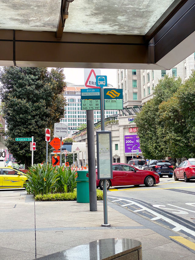 Efficient and Reliable: Exploring Singapore's Bus Network! 