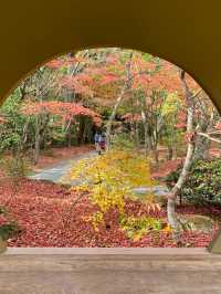 【宮城県･松島町】景色が素敵な円通院🍁