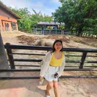 ที่เที่ยวครอบครัว   สวนสัตว์เปิดเขาเขียว  ชลบุรี