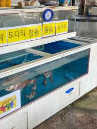 공주가면 꼭 가야할 ‘공주산성시장’