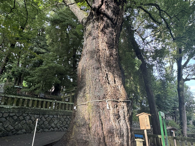 湯河原一のパワースポット「五所神社」に行ってみたら心が穏やかになった