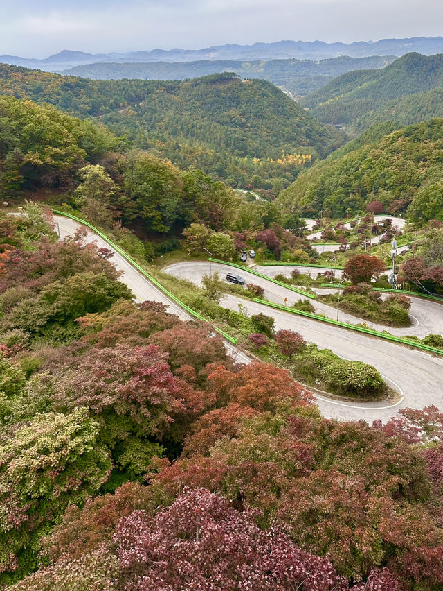 🧡낭만적인 가을, 오색빛깔 자연의 만추 풍경을 볼 수 있는 🍁가을여행추천 🍁