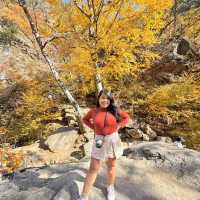 Nature’s best, Seoraksan