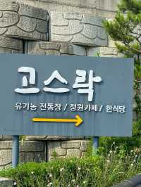 5천개의 숨쉬는 항아리가 있는 곳 <고스락>
