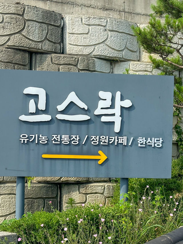 5천개의 숨쉬는 항아리가 있는 곳 <고스락>