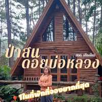 🌲ป่าสนดอยบ่อหลวง ที่พักกลางป่าสน🌲🦉