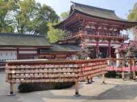 Dazaifu Tenmangu Fukuoka เที่ยววัดดาไซฟุ ฟุกุโอกะ