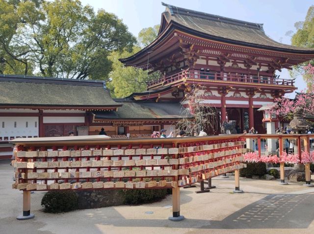 Dazaifu Tenmangu Fukuoka เที่ยววัดดาไซฟุ ฟุกุโอกะ
