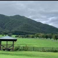 【岡山】観光　ひるぜんジャージーランド