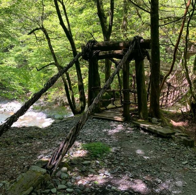 Iya Valley (Shikoku Island)