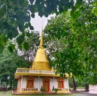 วัดต้นโพธิ์ ศรีมหาโพธิ ชมต้นโพธิ์ที่เก่าแก่ที่สุด