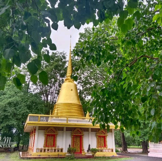 วัดต้นโพธิ์ ศรีมหาโพธิ ชมต้นโพธิ์ที่เก่าแก่ที่สุด