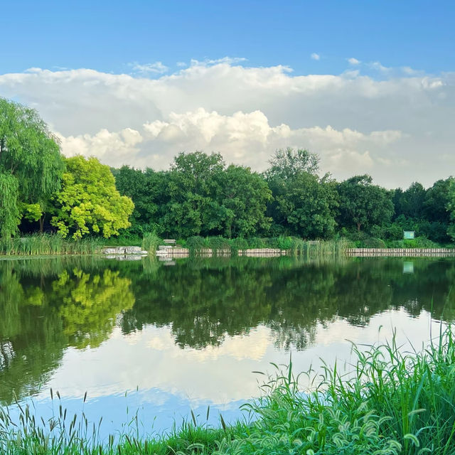 花柏山公園：悠閒秘境 🌳🌼