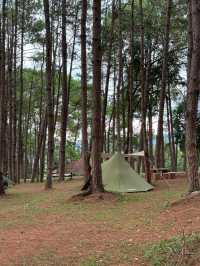 ภูหินร่องกล้า | พิษณุโลก 🏡⛰️🌲🍃
