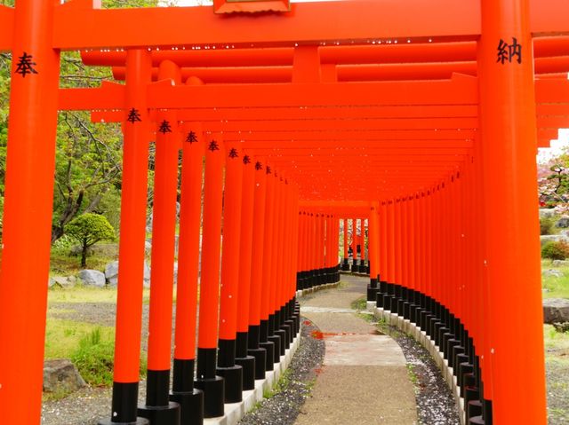【青森県】まるで極楽浄土！高山稲荷神社の千本鳥居
