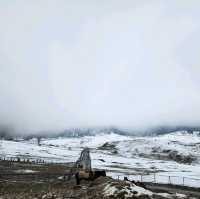 กุลมาร์ค (Gulmarg) @แคชเมียร์