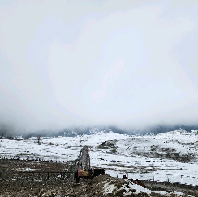 กุลมาร์ค (Gulmarg) @แคชเมียร์