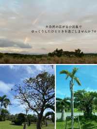 【小浜島】最高の過ごし方を紹介！