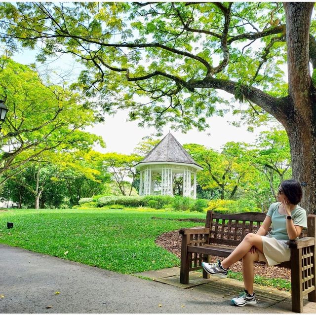 Singapore Botanic Gardens : สวนใหญ่ใจกลางเมือง