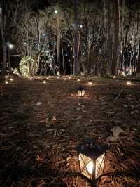 【軽井沢】キャンドルランタンの世界へ🕯おすすめクリスマスイルミネーション