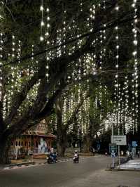 Hua Hin’s Glowing trees