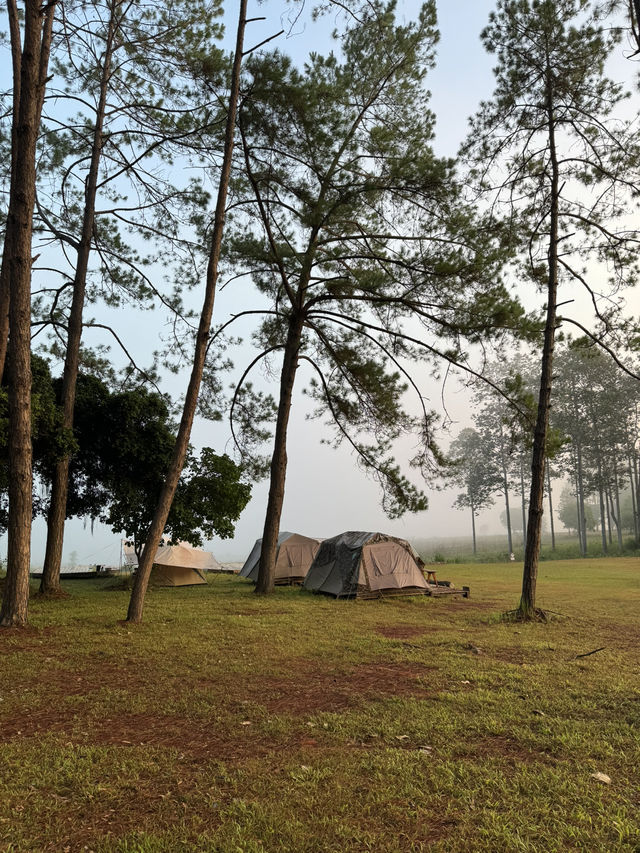 ทุ่งแสลงหลวง | จ.เพชรบูรณ์ 🏕️🌿🦌✨