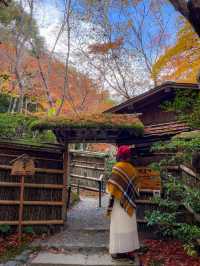 苔と紅葉が美しい草庵🥹🍁🌿京都・祇王寺🌿🍁