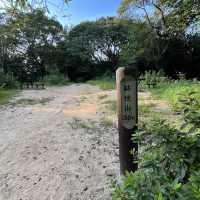 須磨アルプス⛰️　〜鉢伏山・旗振山・鉄拐山