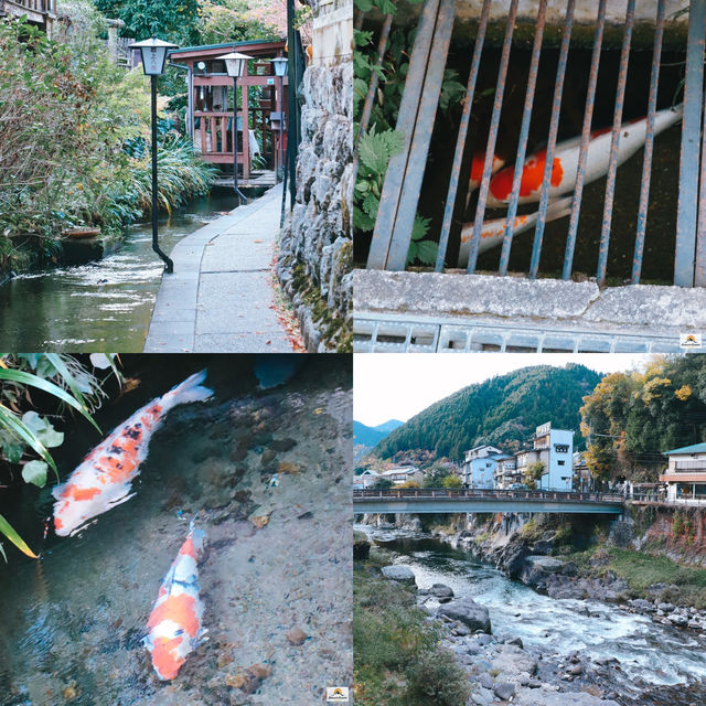 Hida-Furukawa