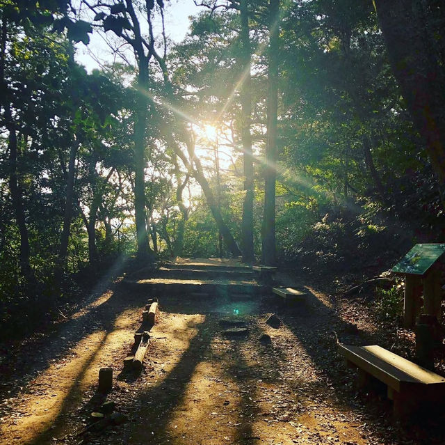 天拜山歷史自然公園，四季都可以觀賞到花卉自然風景的公園.