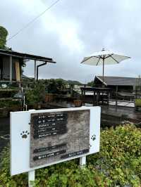 【福岡カフェ】太宰府の竈門神社参道にある可愛いカフェ☕️