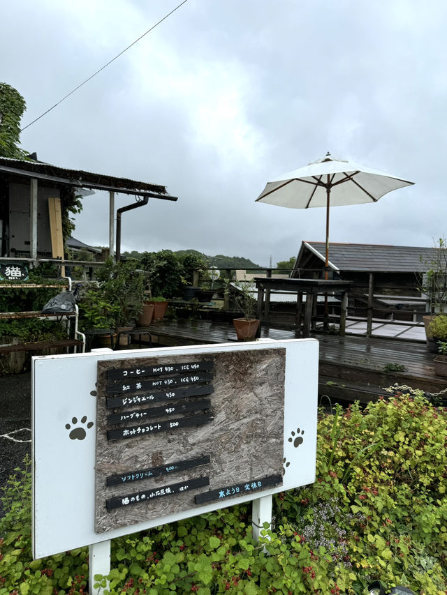 【福岡カフェ】太宰府の竈門神社参道にある可愛いカフェ☕️