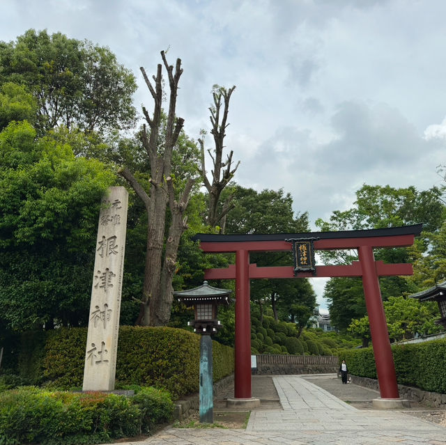 東京根津神社 - 歷史與人類的連結