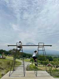 可愛度滿分的富士山馬飼野牧場！